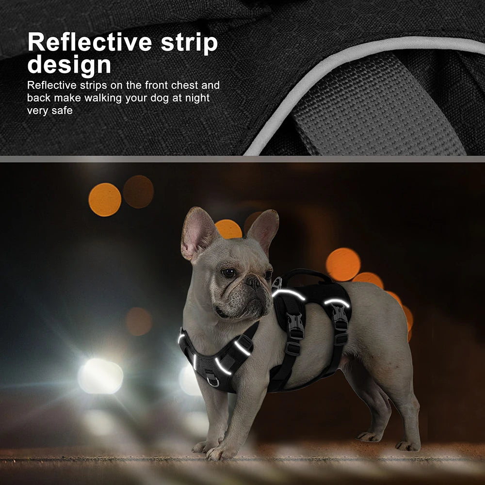 Pawvexi | SafeStrap Harness