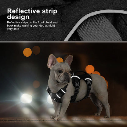 Pawvexi | SafeStrap Harness