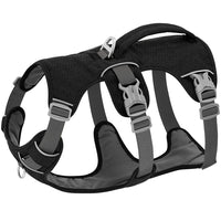 Pawvexi | SafeStrap Harness