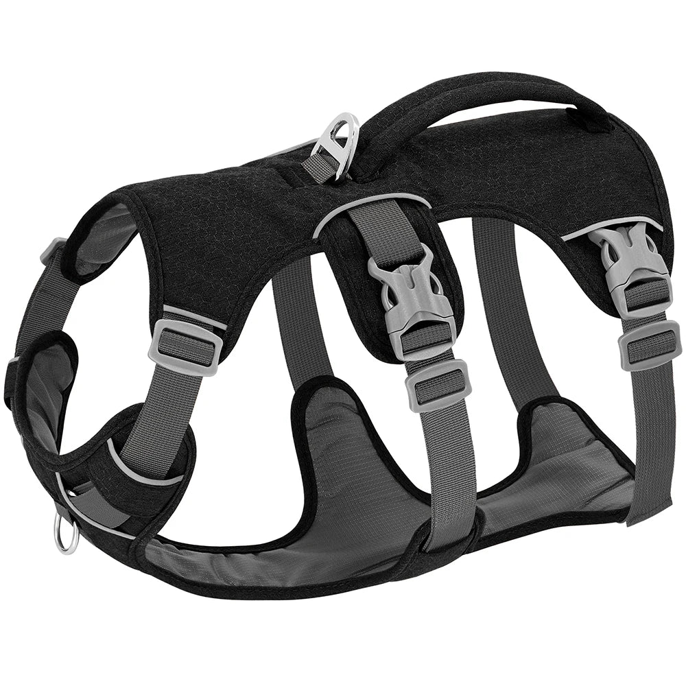 Pawvexi | SafeStrap Harness