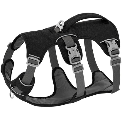 Pawvexi | SafeStrap Harness